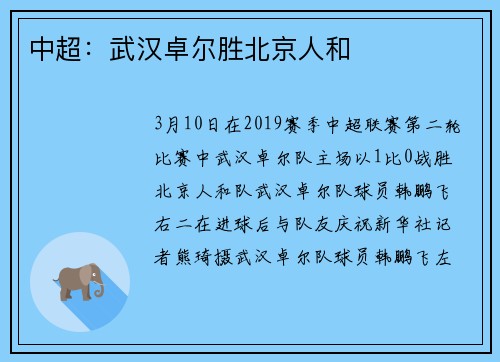中超：武汉卓尔胜北京人和